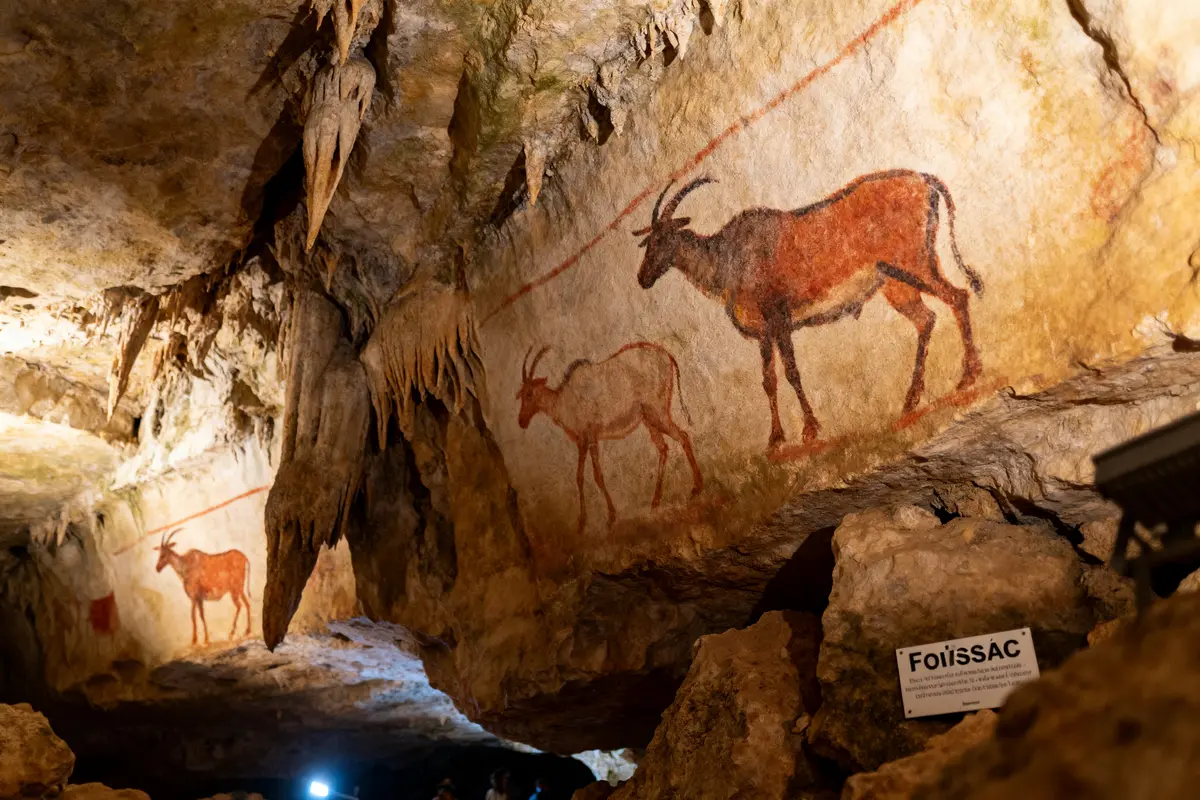 Peintures rupestres de chèvres sur les parois d'une grotte, éclairées, avec stalactites visibles. Panneau "Foissac".