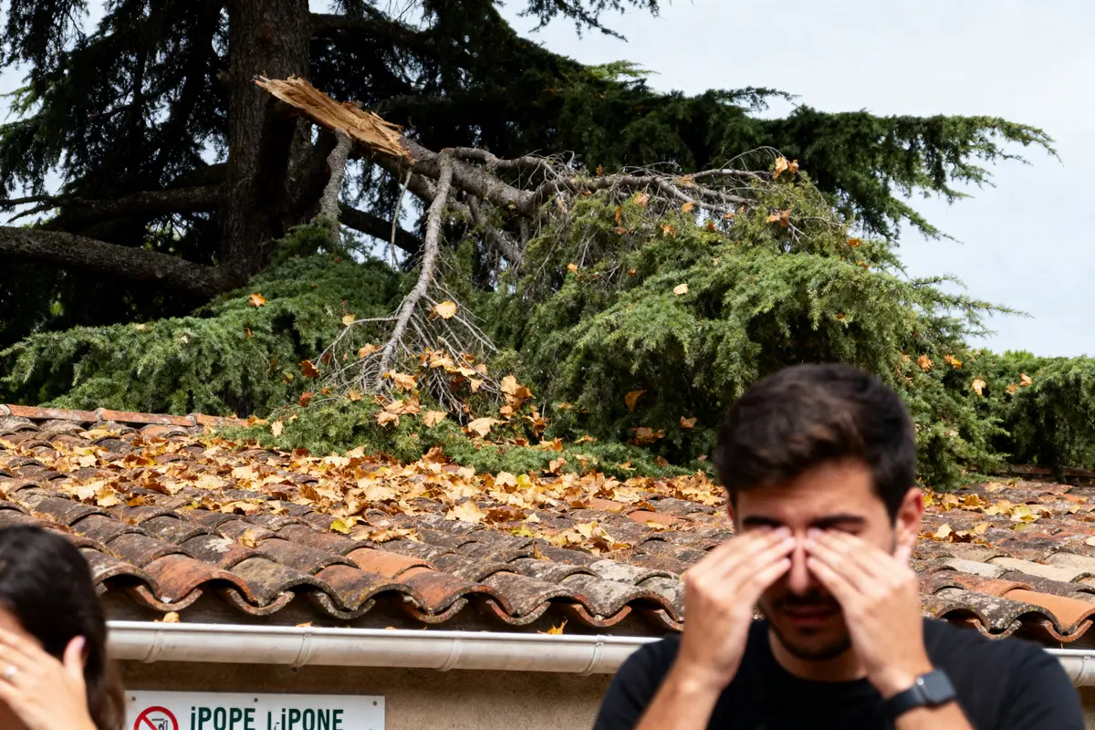 Homme se couvrant le visage près d'un arbre tombé sur un toit, feuilles mortes dispersées.