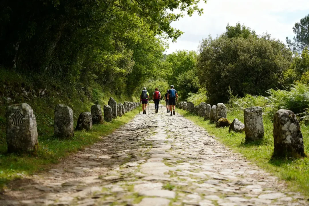 Pèlerins marchant sur le chemin de Compostelle entouré de verdure et pierres anciennes