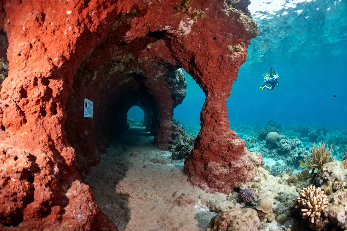 Plongée fascinante dans la grotte sous marine des vieilles avec formations rocheuses et coraux colorés