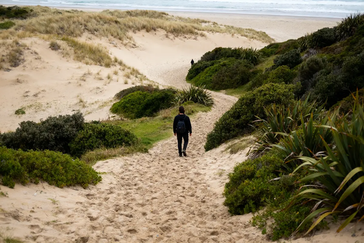 Personne marchant sur un sentier sablonneux parmi les dunes de Golden Bay en Nouvelle-Zélande