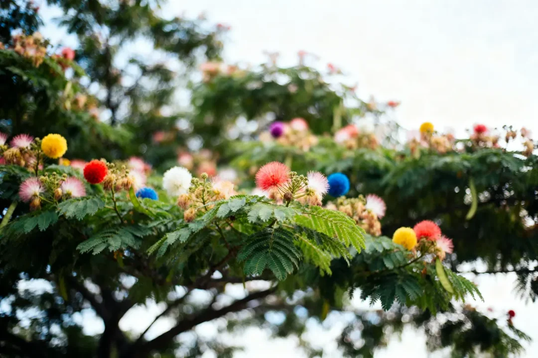 Arbre avec fleurs colorées, roses et jaunes, sur fond de ciel clair.