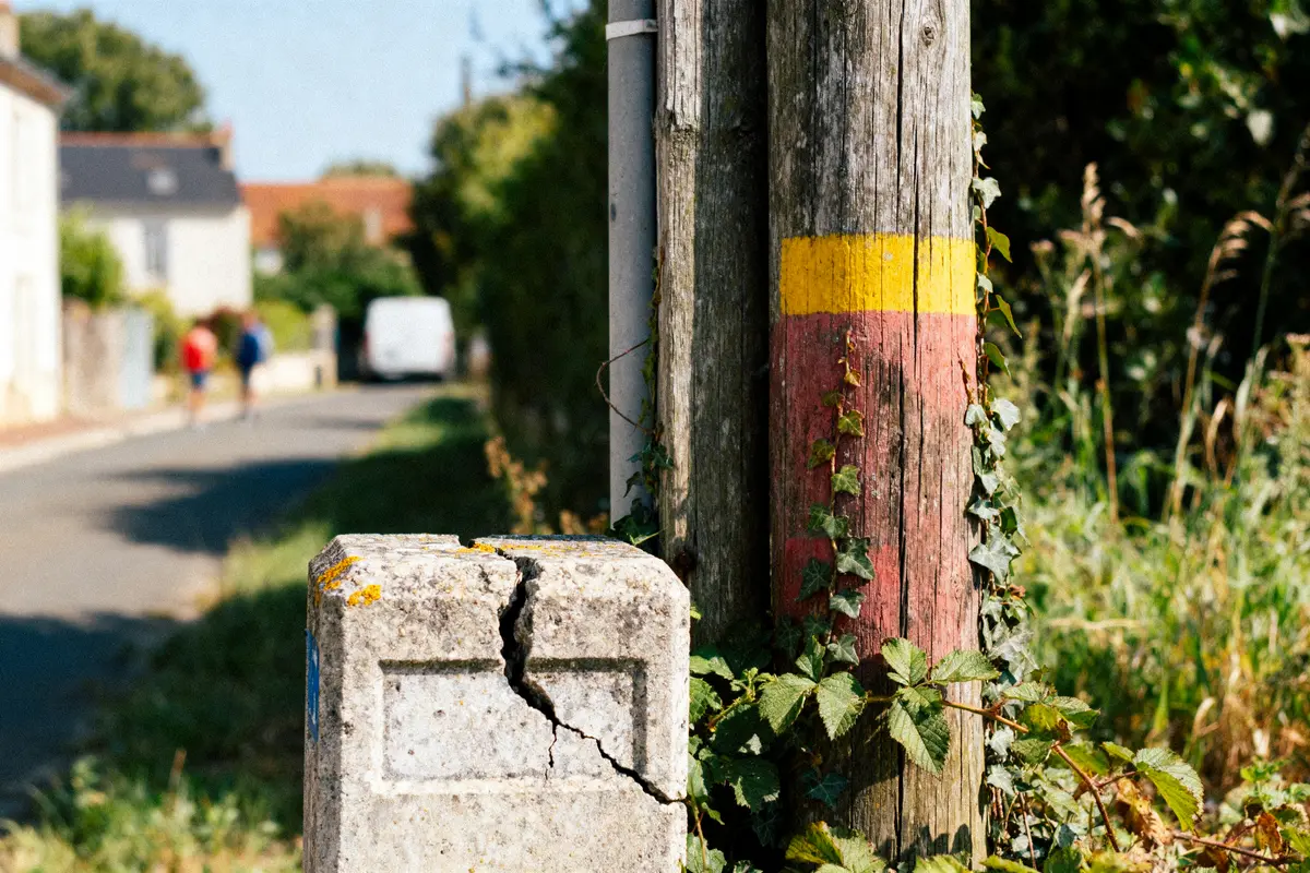 Trois poteaux en bois anciens avec lierre et un muret fissuré près d'une route de campagne.