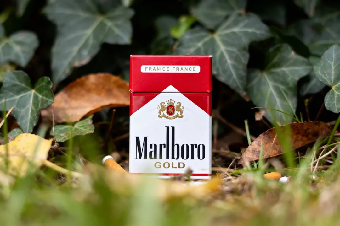 Paquet de cigarettes Marlboro Gold devant un fond de feuillage et de terre, avec mégots dispersés.